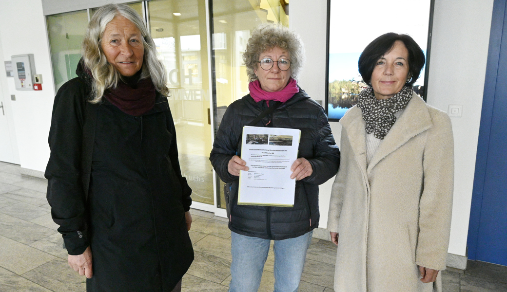 Schluss mit Schweizerkrachern und Chinaböllern