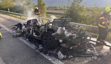 Fahrzeugbrand auf Autobahn – die Insassen blieben unverletzt