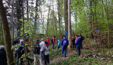 Exkursion für Frühaufsteher: Morgenstund hatte einmal mehr Gold im Mund