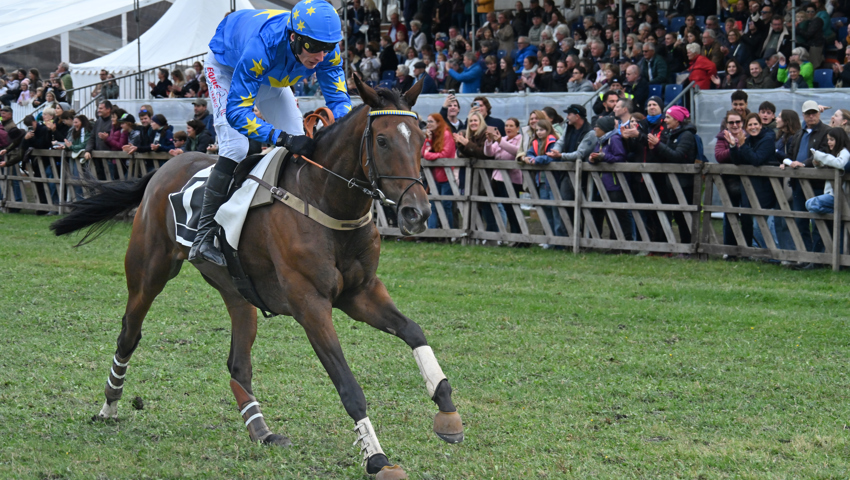 Triumph für On Your Mark.