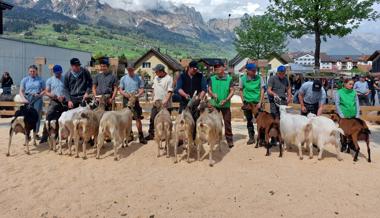 Gretel, Giulia, Felix und Zick sorgen an der Geissschau für Gamser Jubel