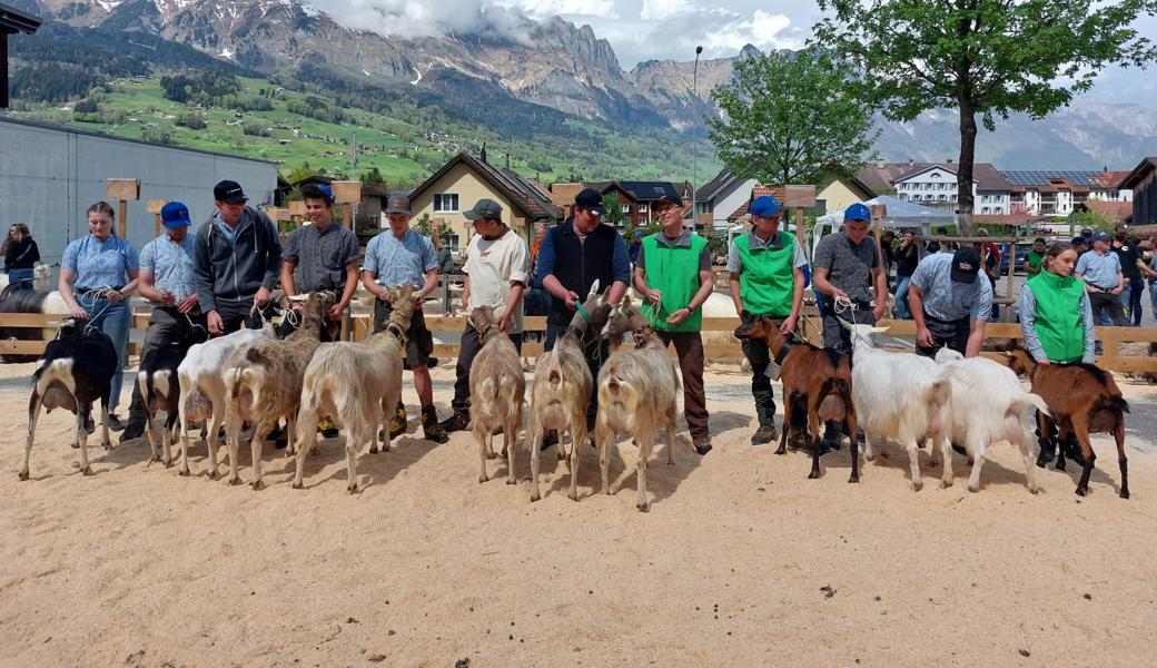 Gretel, Giulia, Felix und Zick sorgen an der Geissschau für Gamser Jubel