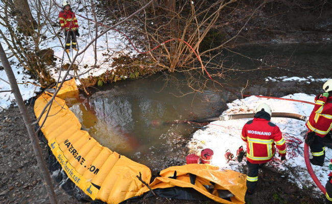 Rund 1000 Fische tot wegen überlaufendem Güllekasten von Schweinestall