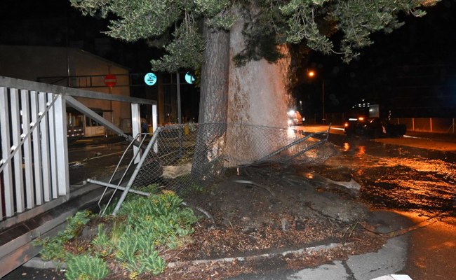 Betrunken und ohne Führerschein Totalschaden verursacht