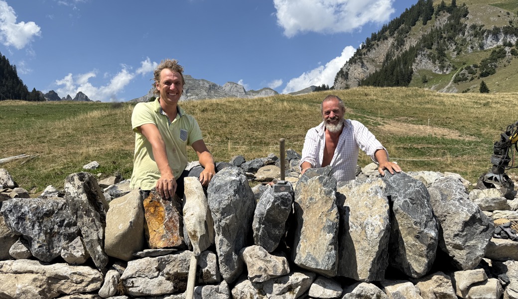 1,5 Tonnen Stein pro Tag: So wird auf Gamplüt eine Trockenmauer saniert