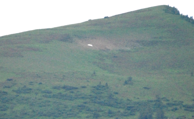 Ariner Schneefleck ist seit Mittwoch weg