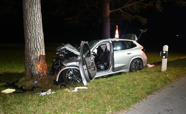 Bei Kollision mit Baum schwer verletzt