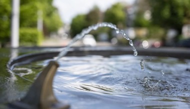 Trinkwasser in Gefahr: Warum die Ostschweiz dennoch nicht aus dem Bodensee versorgt wird