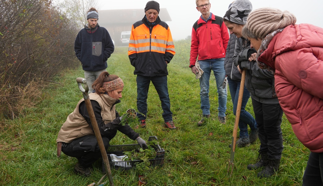 Janine Müller zeigt den Teilnehmenden typische Pflanzen eines Krautsaums.