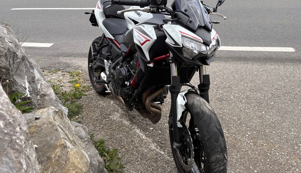 Die verletzte Fahrerin wurde ins Spital gebracht. 