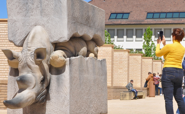 Die Kunstwerke machen das Leben verständlicher