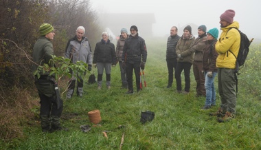 Praxisnaher Kurs zeigt: Wildsträucher sind wertvolle Lebensräume