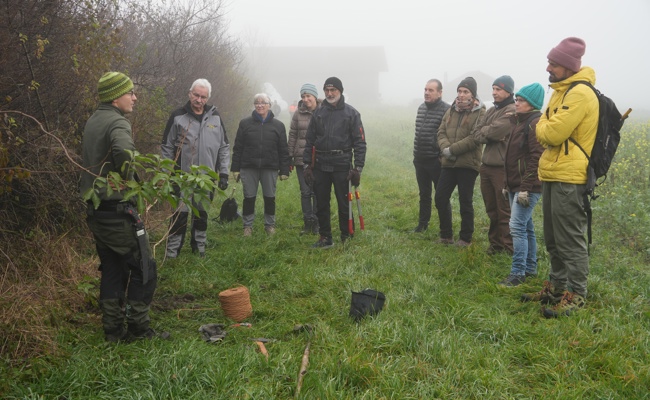 Praxisnaher Kurs zeigt: Wildsträucher sind wertvolle Lebensräume