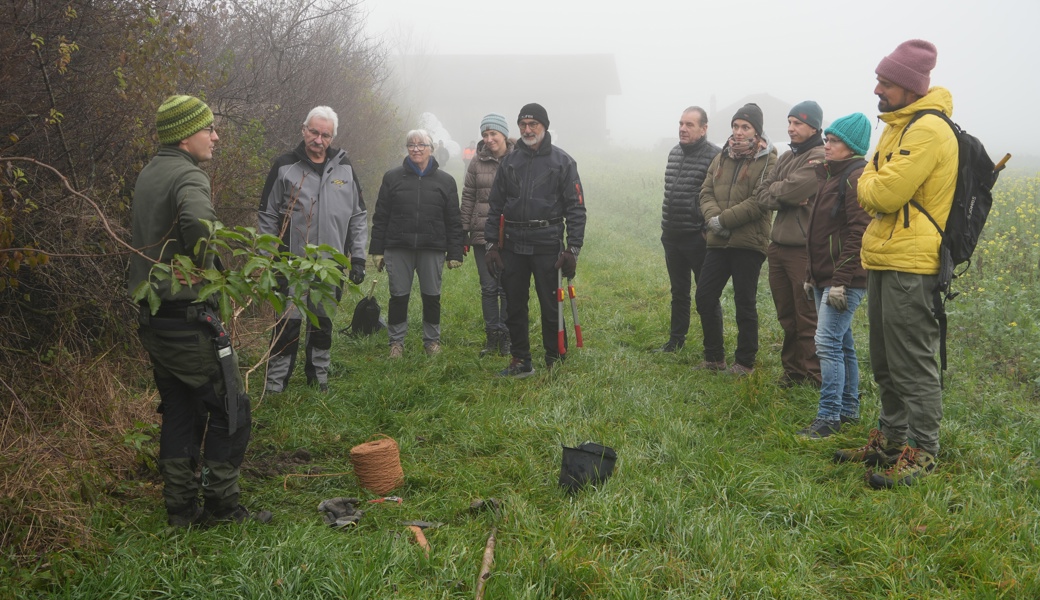 Praxisnaher Kurs zeigt: Wildsträucher sind wertvolle Lebensräume