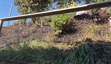 In Kirchberg entzündete ein Mann geschnittenes Gras, wodurch der Boden in Brand geriet.