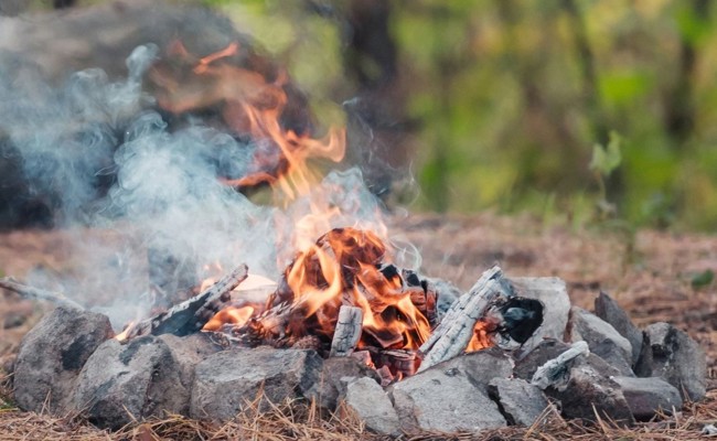 Bis es den Nachbarn stank: In Wattwil verbrannte ein 77-Jähriger im Garten rund eine Tonne Altholz und Grünabfälle