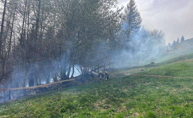 St. Galler Kantonsförsterin warnt: «Ein Feuerverbot ist nicht einfach ein Furz der Behörden»