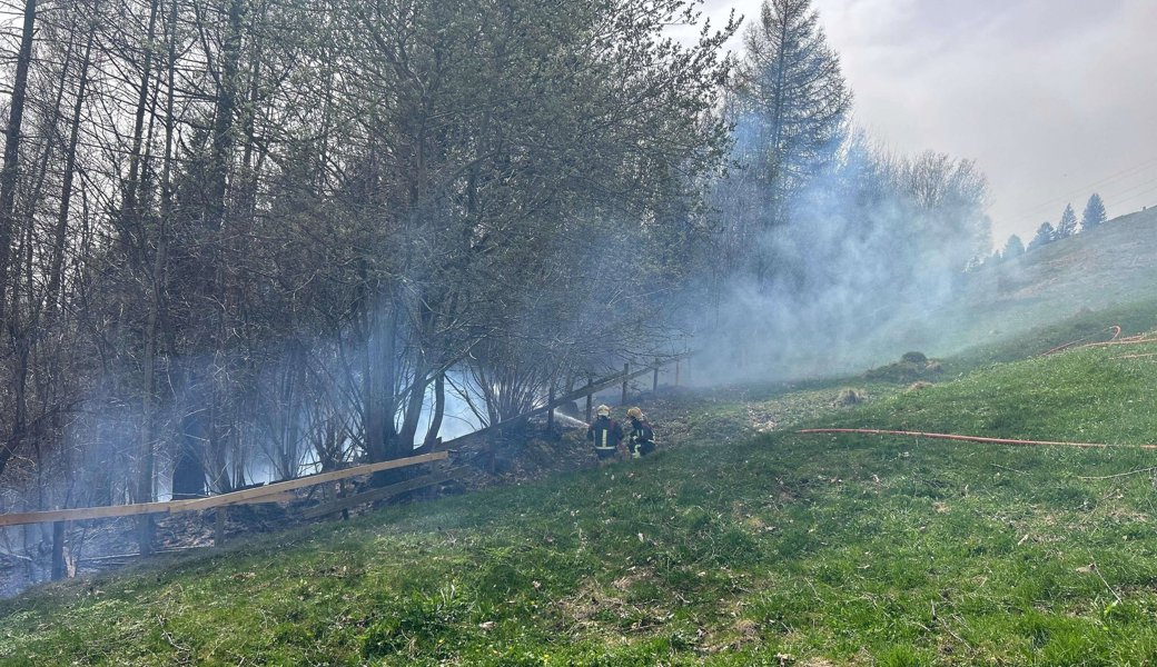 Feuerwehrleute bekämpfen einen Waldbrand in Altstätten, April 2024.