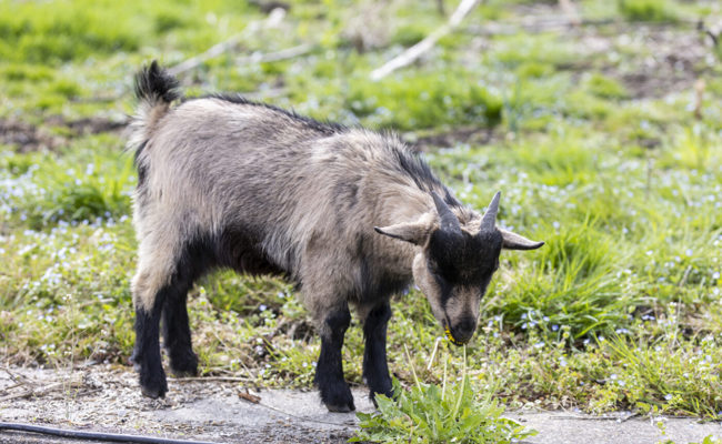 Leserbrief: «Melden Sie sich! Mutloses, anonymes Gemecker kann jede und jeder»