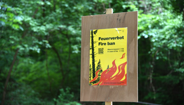 Wegen Trockenheit: Feuer ab sofort verboten in Wald und Waldesnähe