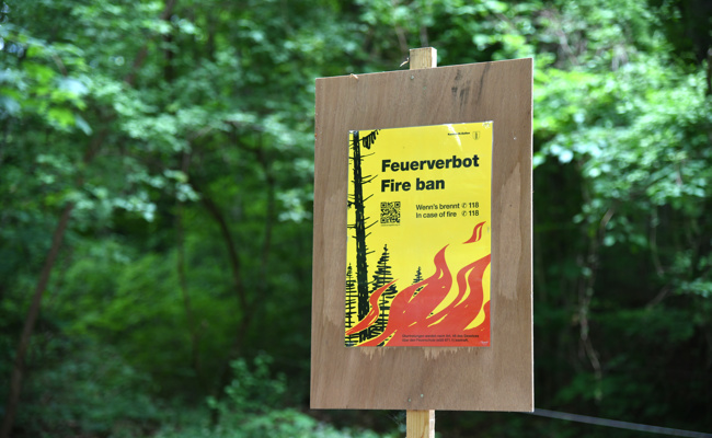 Wegen Trockenheit: Feuer ab sofort verboten in Wald und Waldesnähe