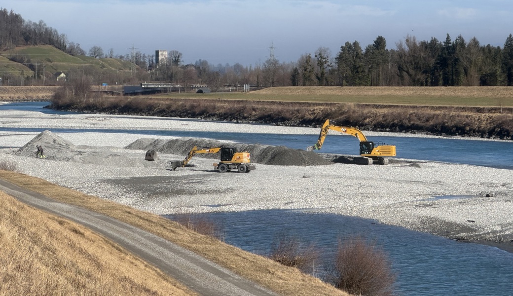Gezielte Kiesentnahme am Rhein soll vor Hochwasser schützen