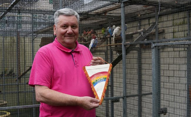 Über 55 Jahre der Vogelzucht gewidmet: «Es war das Hobby meines Lebens»