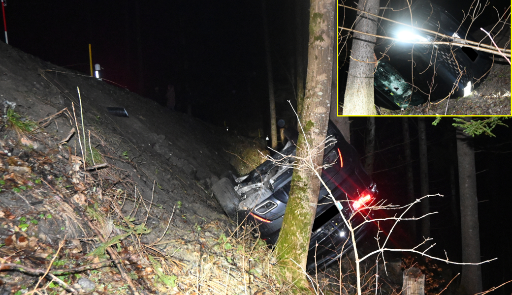 Der Verunfallte hatte Glück im Unglück: Er blieb mit seinem Auto an einem Baum hängen - sonst wäre er noch weiter in die Tiefe gestürzt.