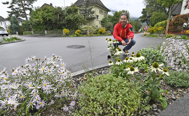 Grünes gegen Hitze und «Günten»: Die Stadt rüstet sich für den erwarteten Klimawandel