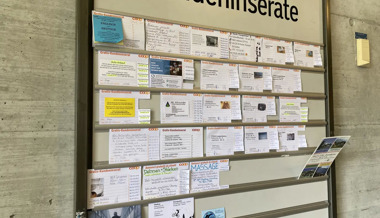 300’000 Franken für eine Modelleisenbahn: Inserate in Ostschweizer Supermärkten und die Geschichten dahinter