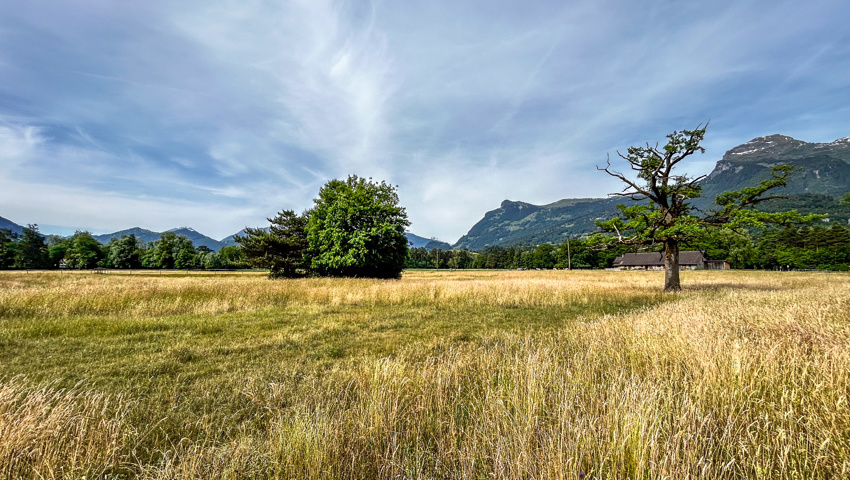 Eine typische Savannenlandschaft die ein Zuhause z.B. für Buntspecht  und  Gartenrotschwanz bietet.