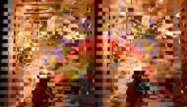 Mit liebevoll gestalteten Adventsfenstern wurde die Wartezeit bis Weihnachten versüsst