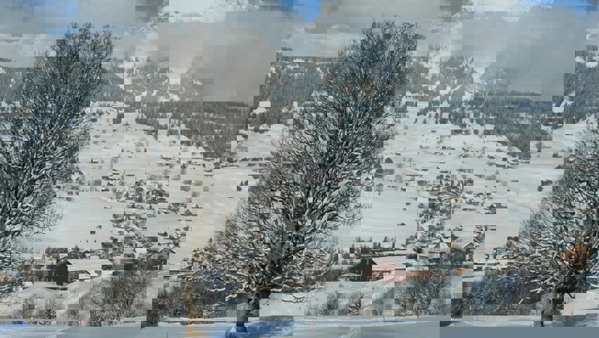  Wildhaus-Alt St. Johann war im letzten Jahr die einzige Gemeinde in der W&amp;O-Region, die einen Bevölkerungsrückgang zu verzeichnen hatte. 