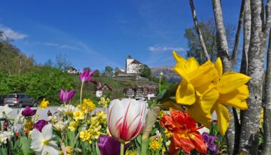 Die Natur in ihrer ganzen Pracht