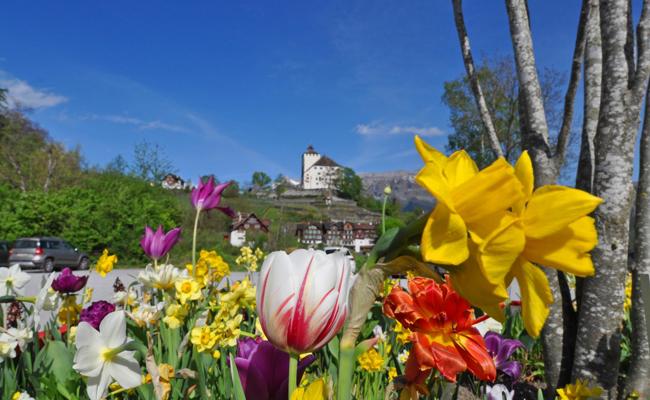 Die Natur in ihrer ganzen Pracht