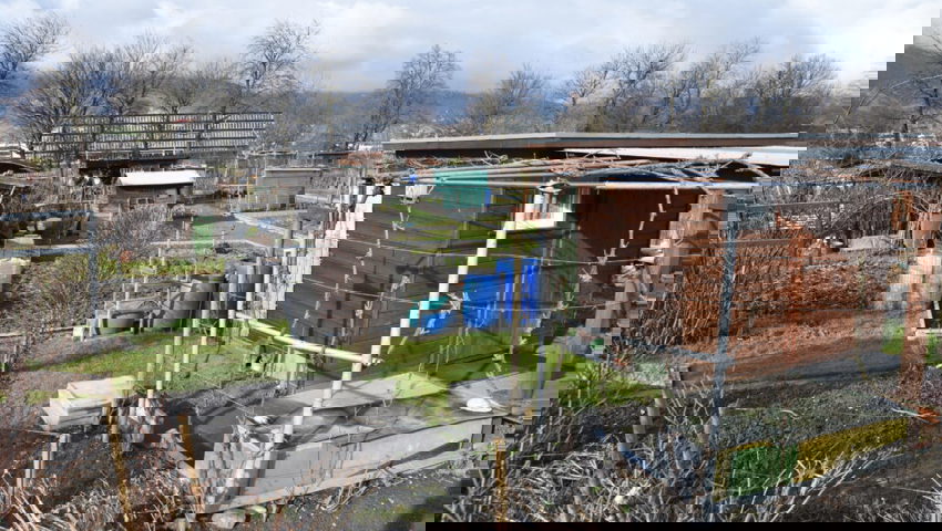  Im November könnten die Feldhütten der Kleinpflanzerinnen und Kleinpflanzer gezügelt werden.