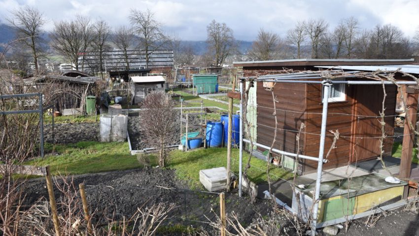  Im November könnten die Feldhütten der Kleinpflanzerinnen und Kleinpflanzer gezügelt werden.