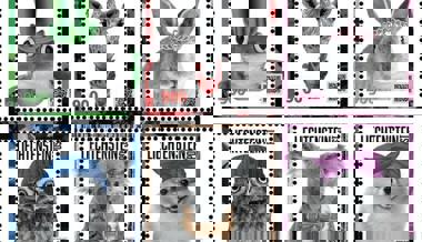 Besondere Briefmarke war innerhalb von zwei Minuten ausverkauft