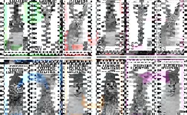 Besondere Briefmarke war innerhalb von zwei Minuten ausverkauft