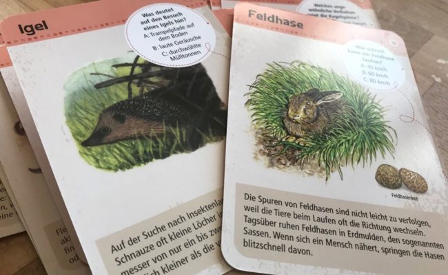 Kinderkram: «Drittklässlerinnen hängen nicht mehr am Rockzipfel der Mama»