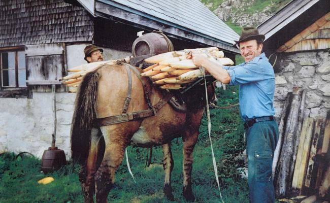 «Es war streng, aber schön» – Abschied nach 48 Jahren z’ Alp