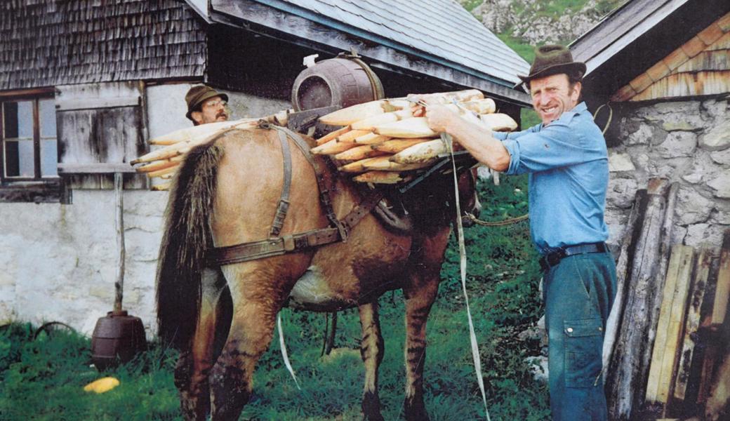 Ein Bild aus früheren Zeiten: Mit einem Muli säumte Ueli Leuener (rechts) Zaunmaterial und Most auf die Alp Wis. 