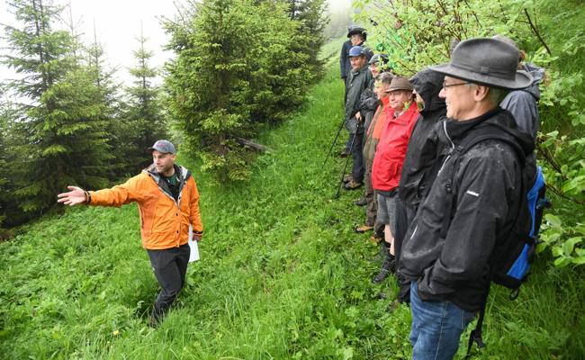 Bäume und Böcke ergänzen sich und schützen vor Gleitschnee