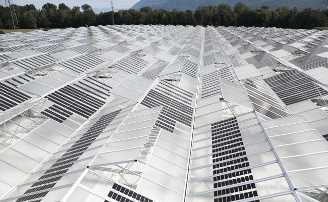 Innovative Lösung zur lokalen Stromerzeugung in Buchs ausgezeichnet