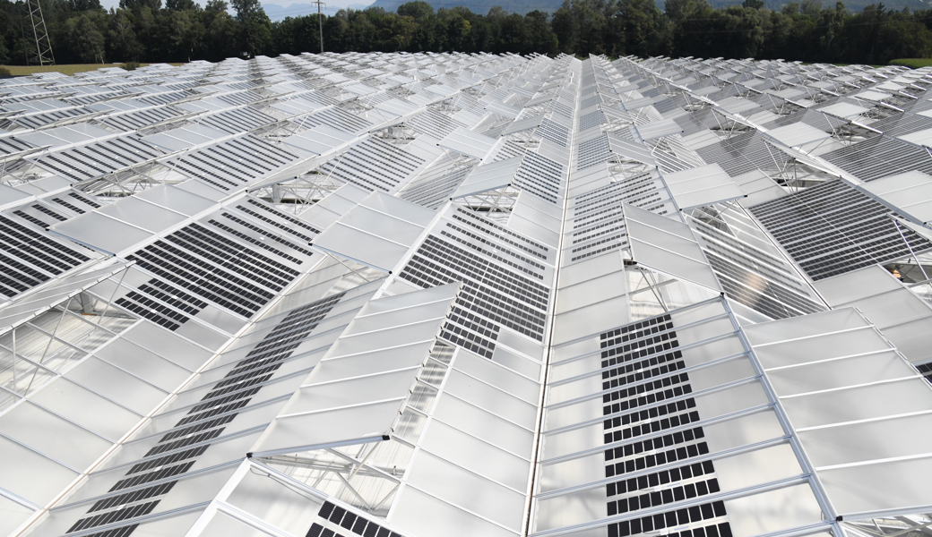 Die Agri-PV-Anlage bei Lubera in Buchs. 