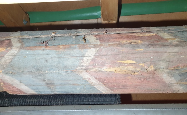 Seveler Freiheitsbaum ist echt