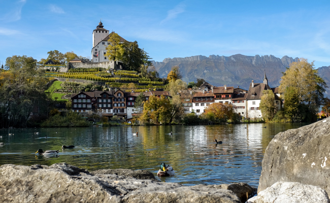 Werdenberg nicht Schweizer Dorf des Jahres