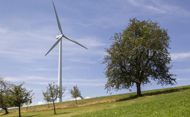 Deutliche Mehrheit befürwortet Windmessungen