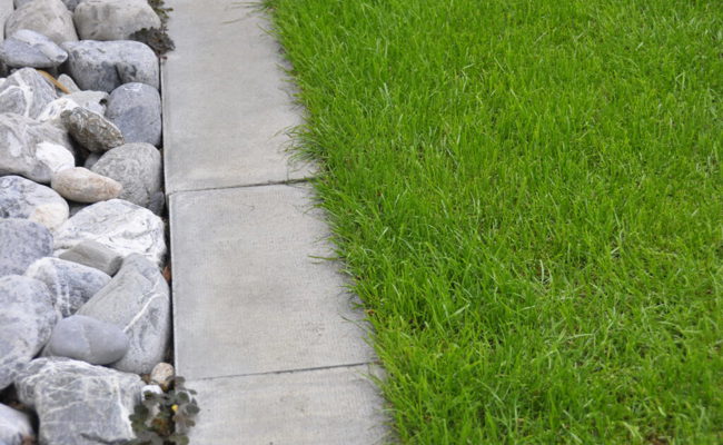 Gartentipp: Rasen – ein lebendiger Teppich der nun zu wachsen beginnt