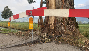 Nicht nur den Baum traf es: Blitzschlag beschädigt Pappel – und den Strassenbelag